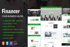 Mua Financer - Consulting & Business Template giá rẻ