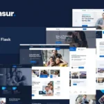 Insur – Insurance Company Flask Template