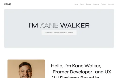 Mua Kane - Personal Portfolio React Template giá rẻ