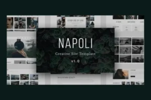 Mua Napoli - Photography Responsive HTML Template giá rẻ