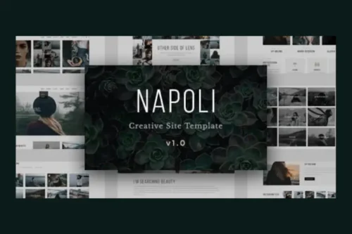 Mua Napoli - Photography Responsive HTML Template giá rẻ