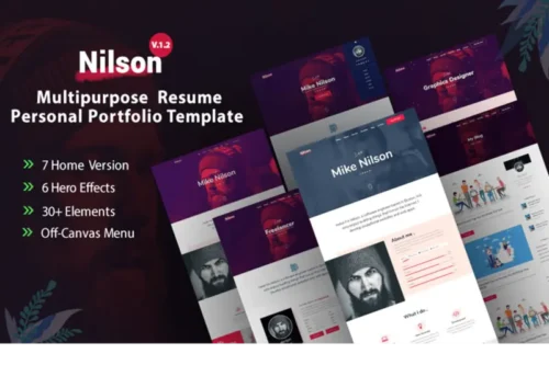 Mua Nilson - Personal Portfolio HTML Theme giá rẻ