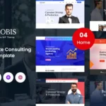 NioBis – Corporate Consulting Template