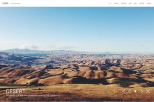 Mua Oyster - Photo Website Template giá rẻ