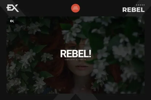 Mua Rebel - Creative Portfolio Template giá rẻ