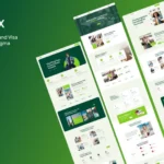 RouteX – Immigration and Visa Consulting Figma