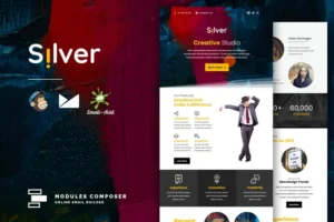 Mua Silver - Agency & Startup Responsive Email giá rẻ