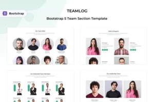 Mua Teamlog - Bootstrap 5 Team Section Template giá rẻ