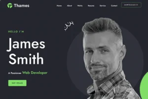 Mua Thames - One Page Personal Portfolio Vue NuxtJS Te giá rẻ