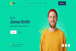 Mua Trito - Personal Portfolio Template giá rẻ