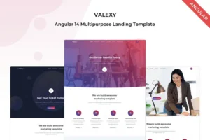 Mua Valexy - Angular 14 Landing Template giá rẻ
