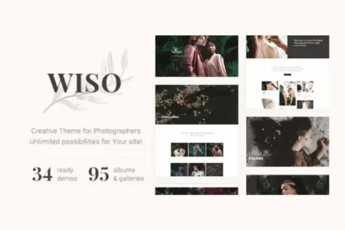 Mua WISO | Photography HTML Template giá rẻ