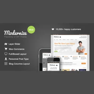 mua Modernize - Flexibility of WordPress