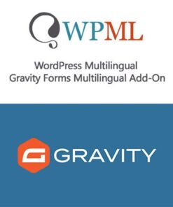 tải WordPress Multilingual Gravity Forms Multilingual Add-On