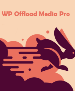 tải WP Offload Media Pro